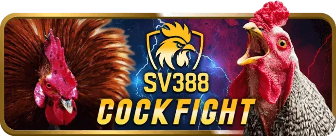 Hỗ trợ khách hàng 24/7 bong88